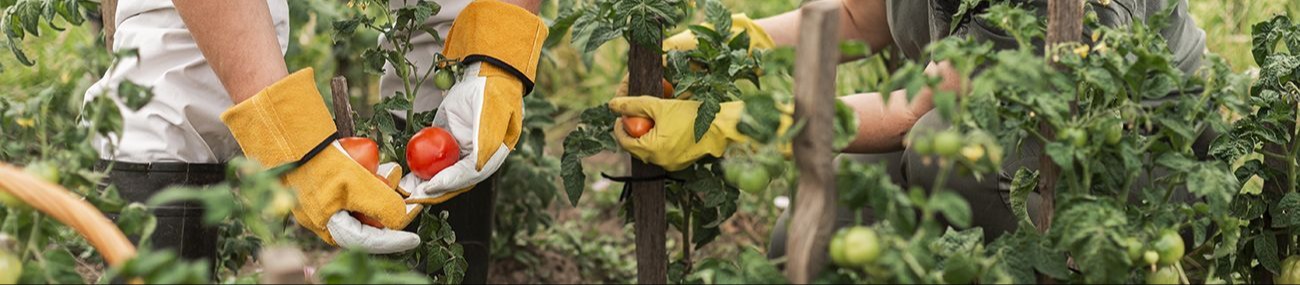 Sukul Agrotech Private Limited banner