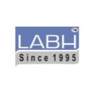Labh Handling Systems logo