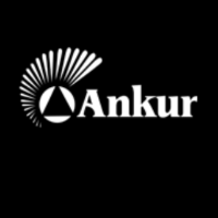 Ankur Chemfood Ltd. logo