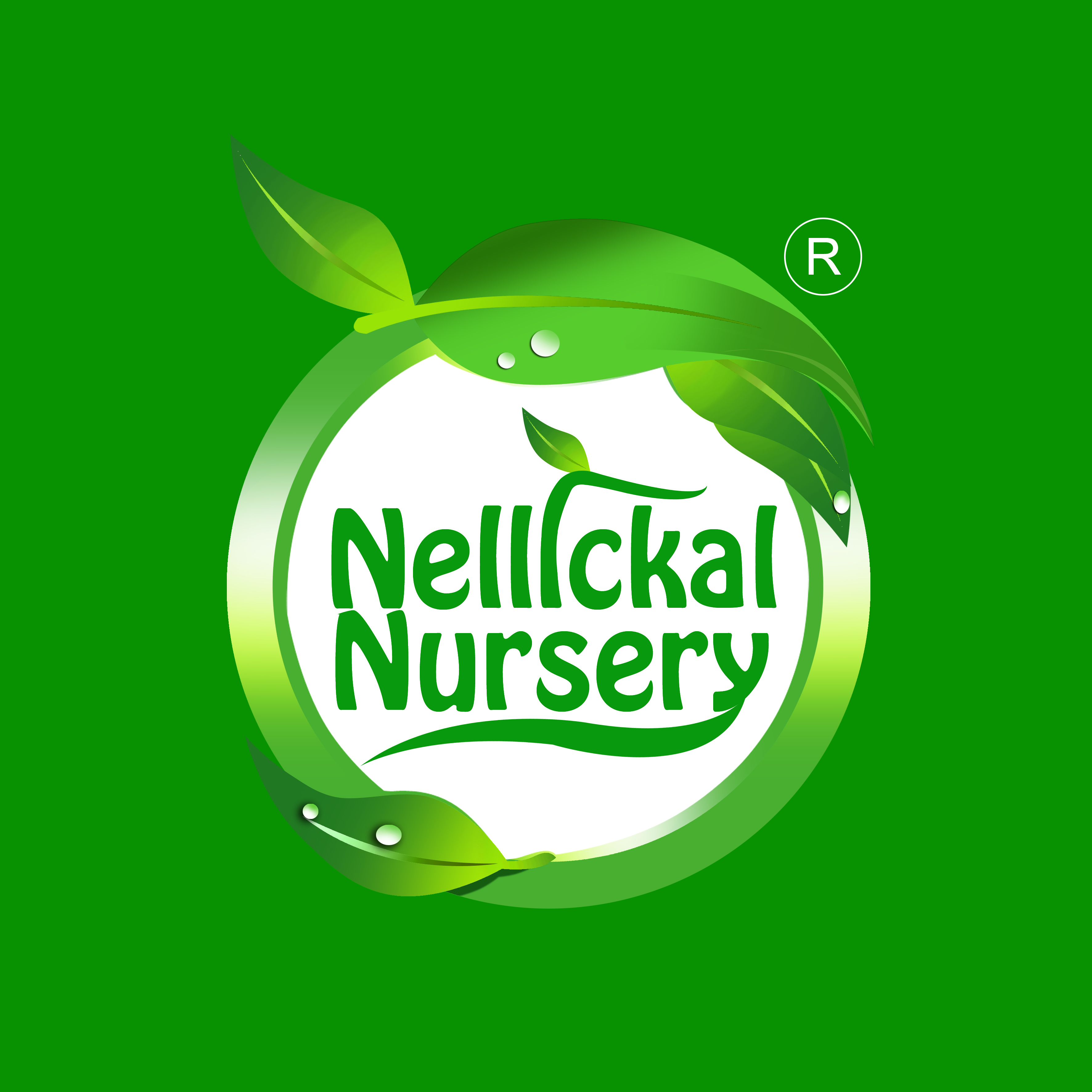 Anish Nellickal logo