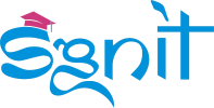 S G N I T Software Solution logo