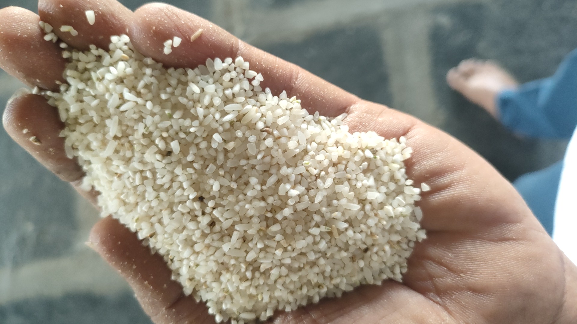 Rythu mitra traders - Agriculture & Farming photo 1