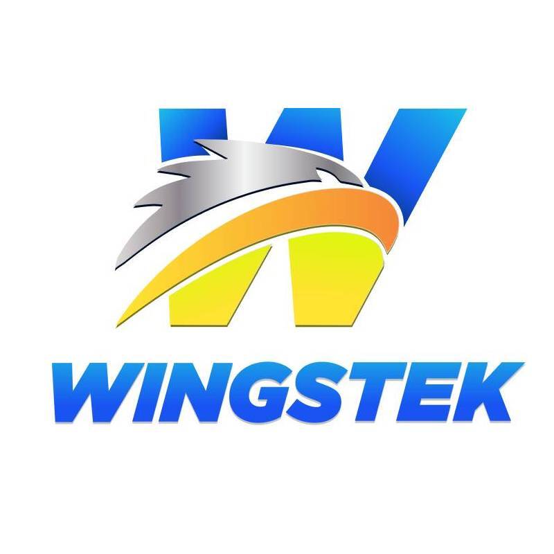 wingstek innovations private limited - Business Planning And Management Consultant photo 1