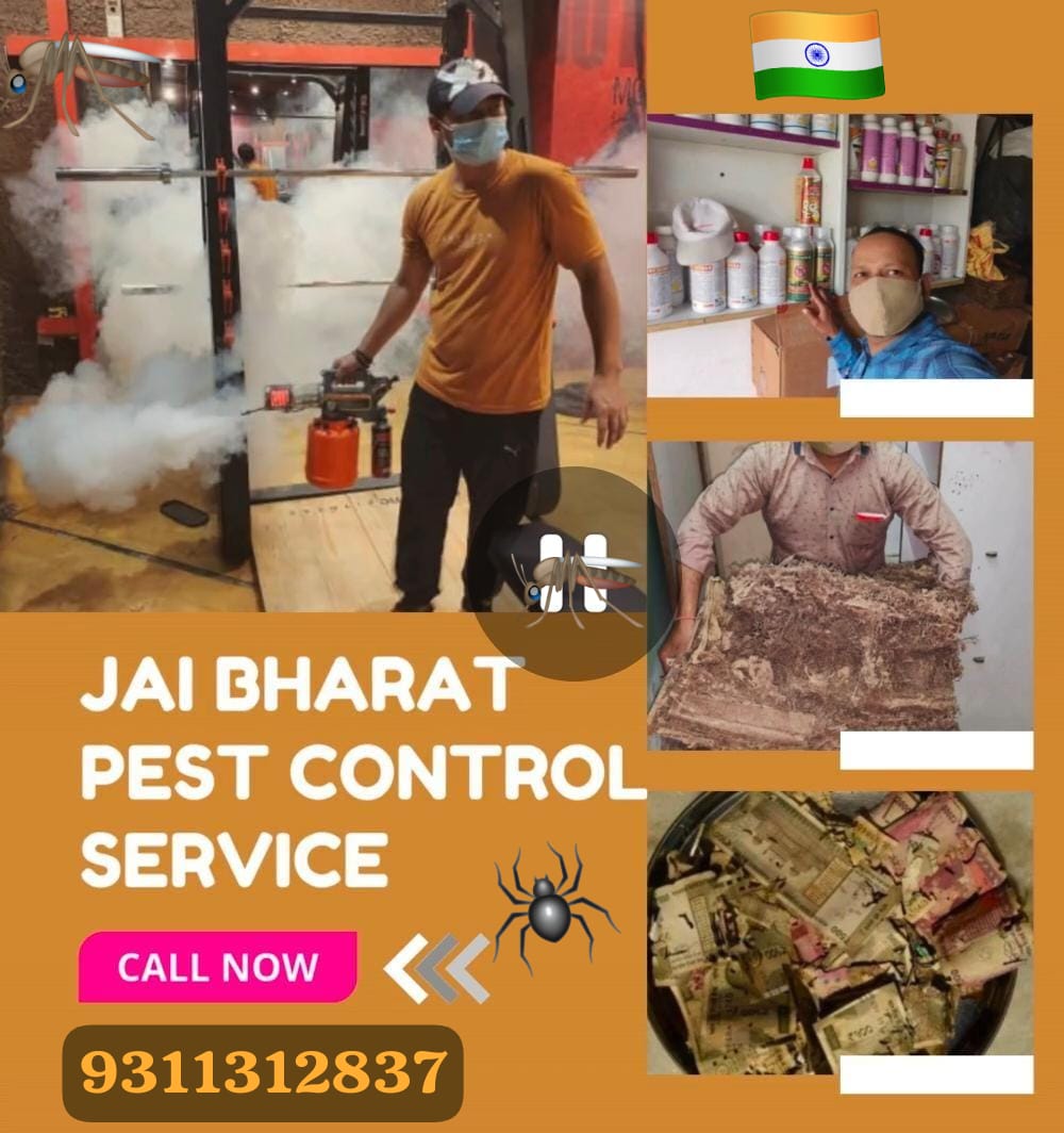 Jai Bharat Pest Control Service - Pest Control photo 3