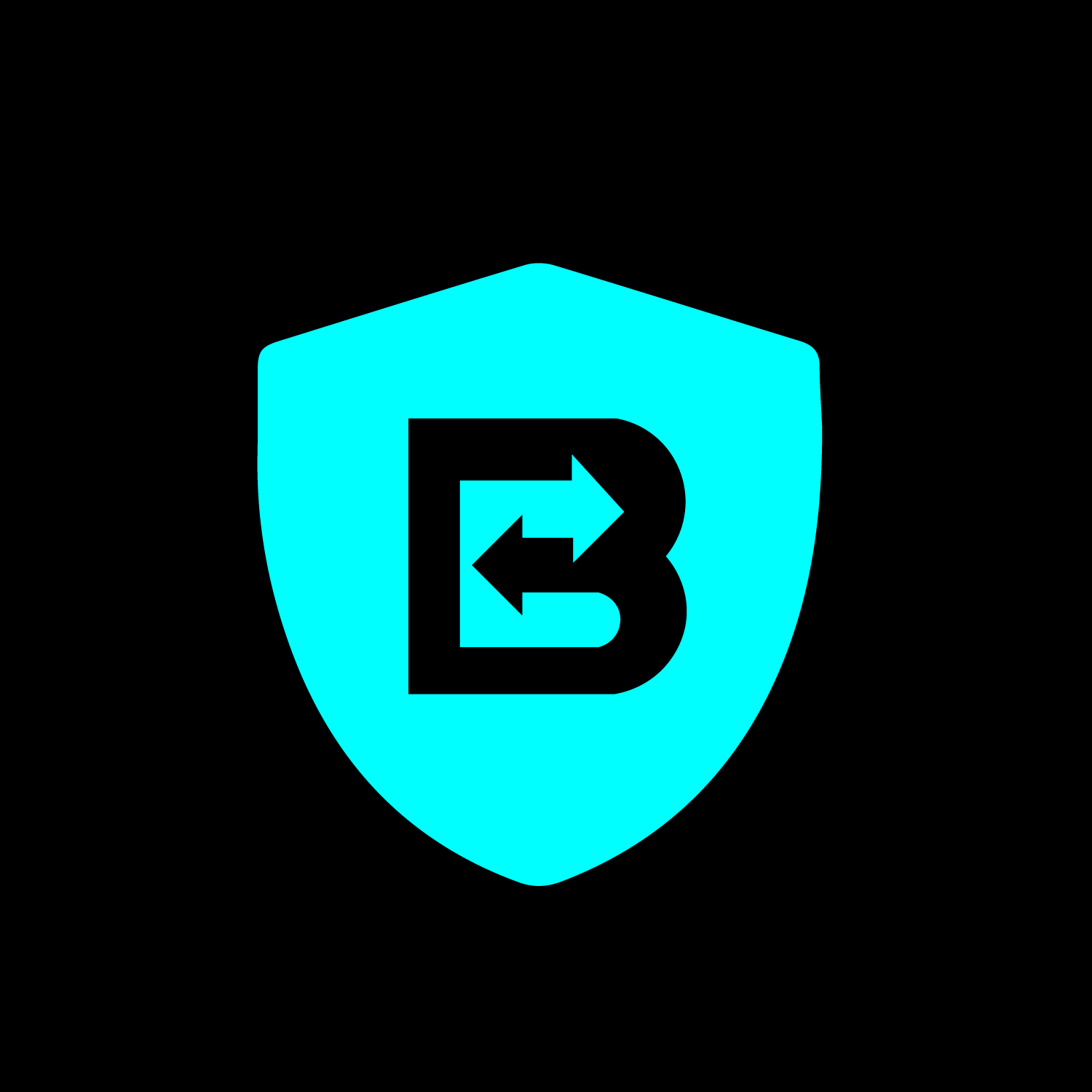 Bizmato Solutions logo