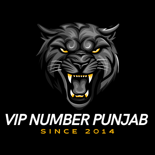 vip number punjab logo
