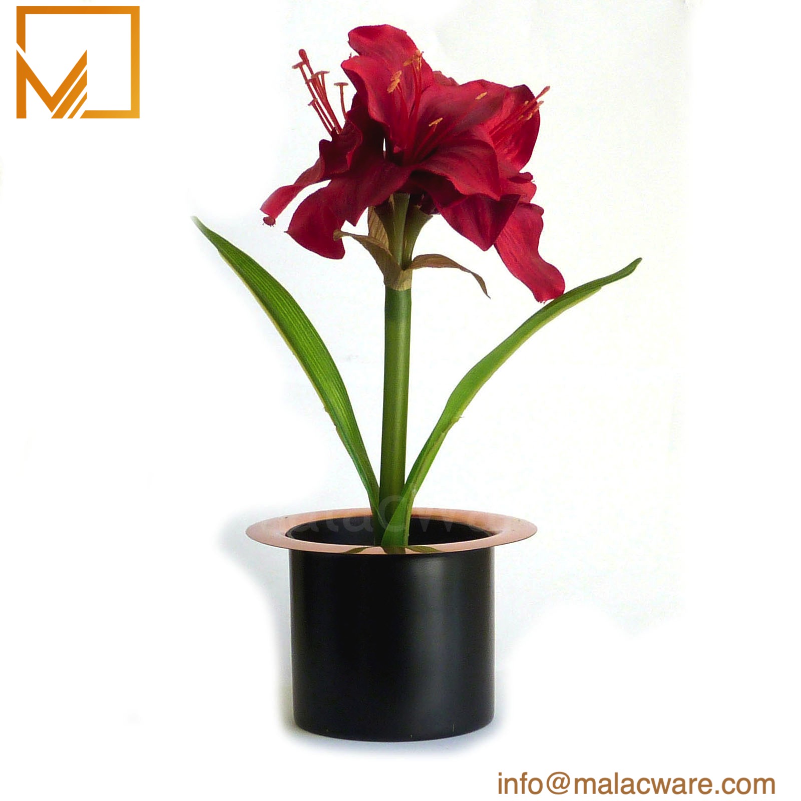 Malac Import Export Pvt Ltd - Gifts photo 5